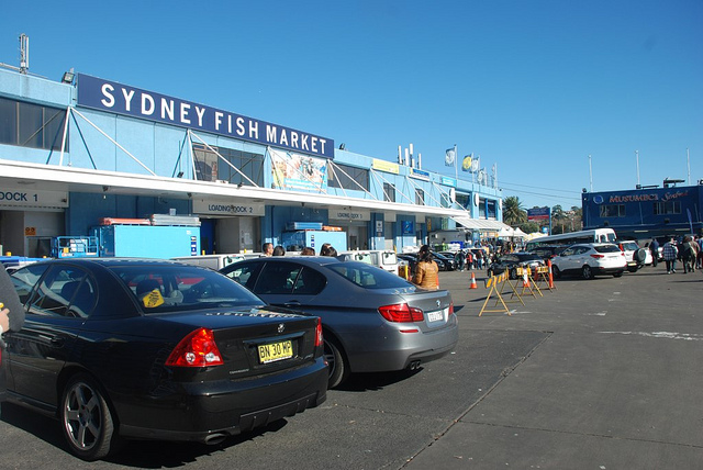 Sydney Fish Market - a must-visit when visiting Sydney!
